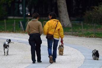 Cani nei parchi, nuove regole sui sentieri di Marittime e Marquareis Cani nei parchi, nuove regole sui sentieri di Marittime e Marquareis